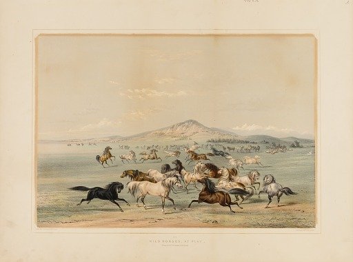 Wild Horses at Play--no. 3