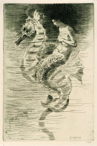 The Mermaid