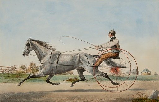 Grey Eddy