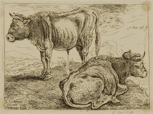 Two Oxen