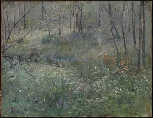 Wild Parsley