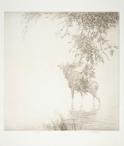 Shadows on the Agawa