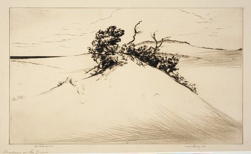 Shadows on the Dunes