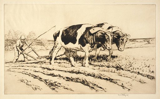 Spring Plowing