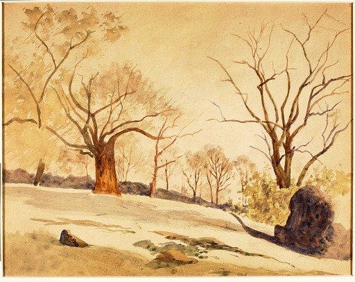 Autumn Landscape