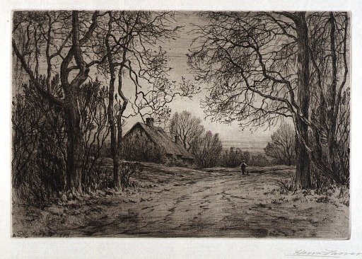 Winter Evening