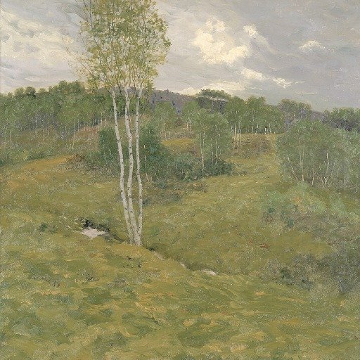 Birch-Clad Hills