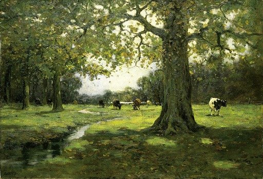 Meadow Brook