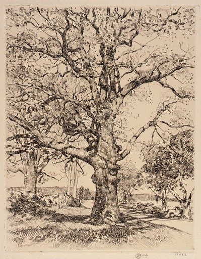 Wayside Inn Oaks in Spring