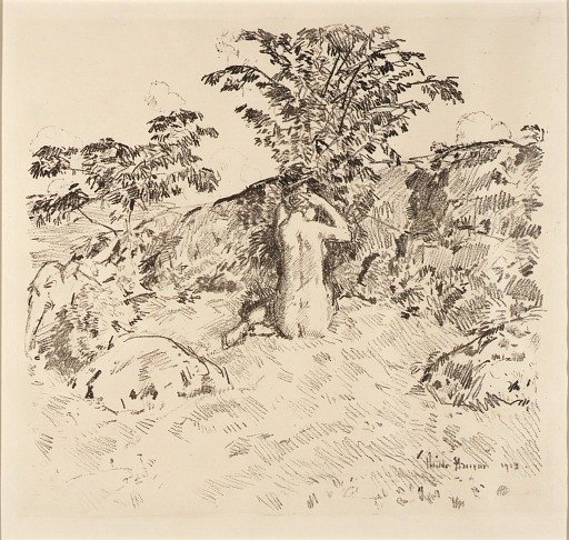 Wild Cherry Tree