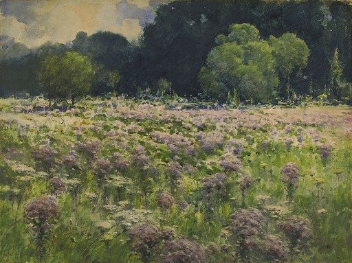 Field of Joe Pie Weeds (Pride of the Meadow)