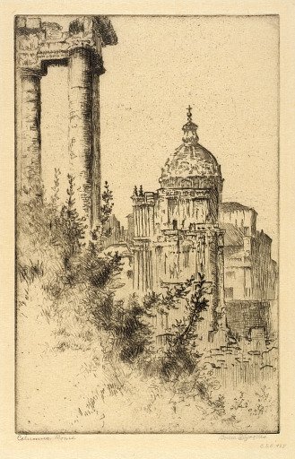 Columns, Roman Forum