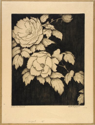 Japanese Peonies