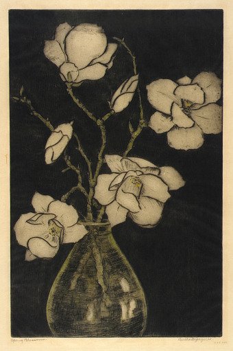 Spring Blossoms (Tree Magnolia)