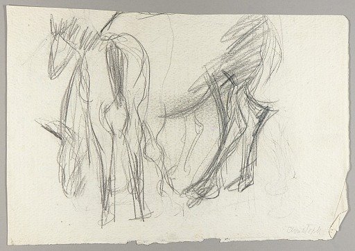 Horses