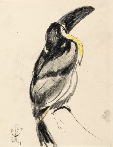 Aerial Toucan