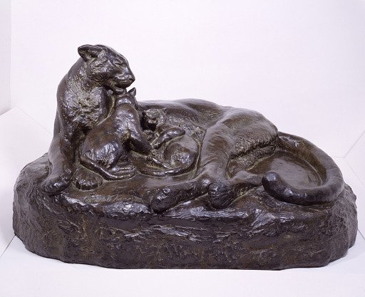 American Panther and Her Cubs