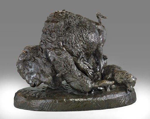 Buffalo and Wolves