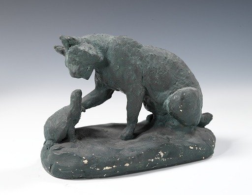 Wild Cat and Turtle