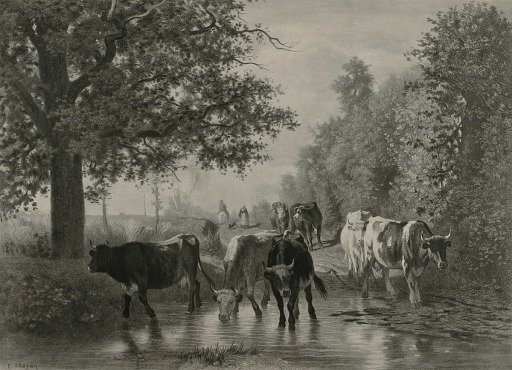 Homeward