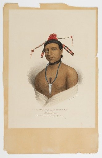 Bear's Oil, Menominee Chief