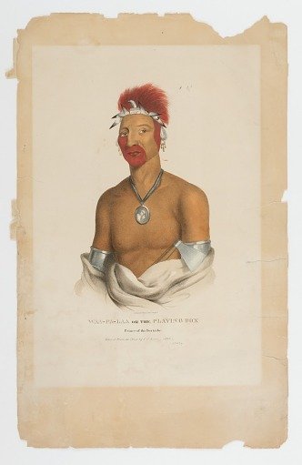 Playing Fox, Prince of the Fox Tribe