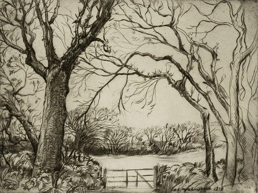 Tragenna Wood