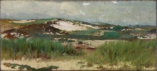 Nantucket Sand Dune
