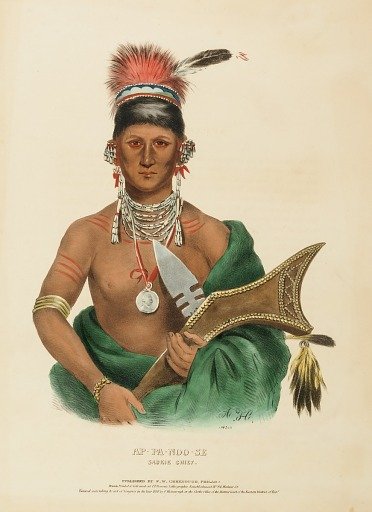 AP-PA-NOO-SE. SAUKIE CHIEF, from History of the Indian Tribes of North America