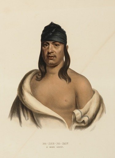 PA-SHE-PA-HAW. A SAUK CHIEF., from History of the Indian Tribes of North America