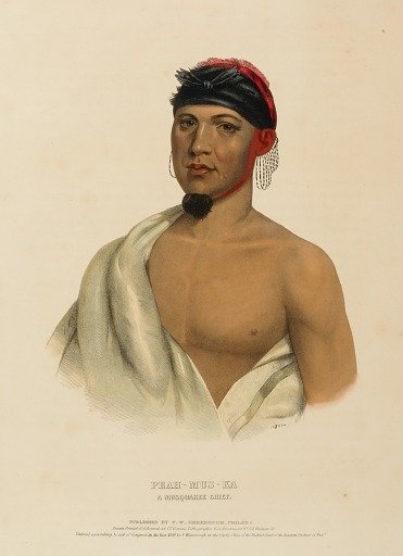 PEAH-MUS-KA. A MUSQUAKE CHIEF., from History of the Indian Tribes of North America