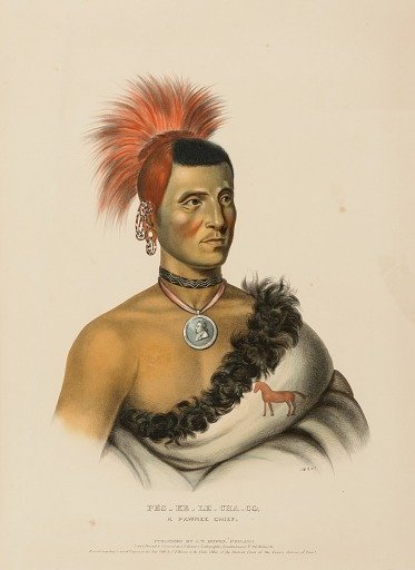 PES-KE-LE-CHA-CO, A PAWNEE CHIEF., from History of the Indian Tribes of North America