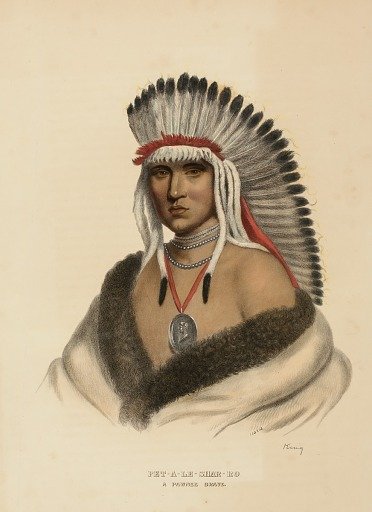 PET-A-LE-SHAR-RO. A PAWNEE BRAVE., from History of the Indian Tribes of North America