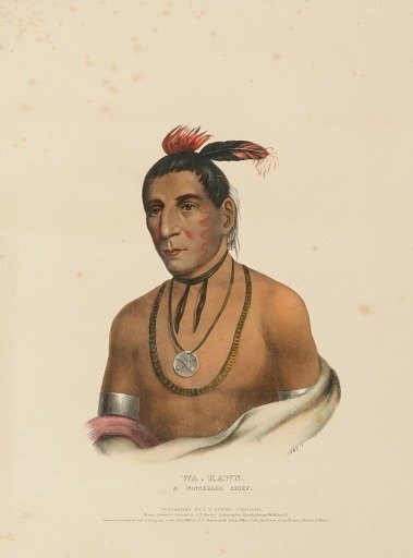 WA-KAWN, A WINNEBAGO CHIEF., from History of the Indian Tribes of North America