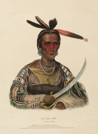 TO-KA-CON. A SIOUX CHIEF., from History of the Indian Tribes of North America