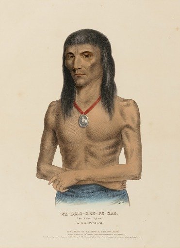 WA-BISH-KEE-PE-NAS. The White Pigeon. A CHIPPEWA, from History of the Indian Tribes of North America