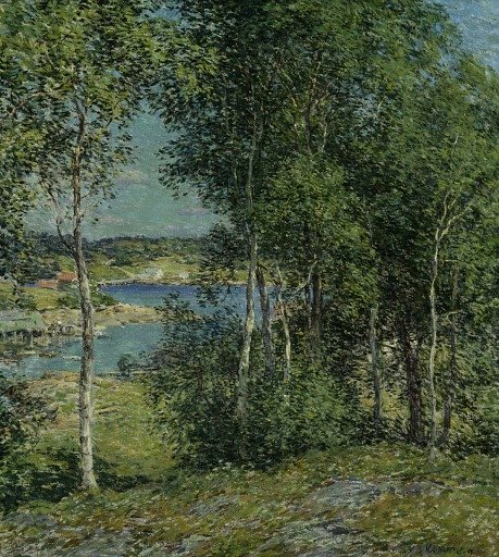 A Family of Birches