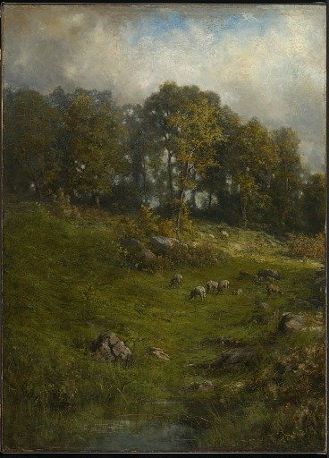A Hillside Pasture