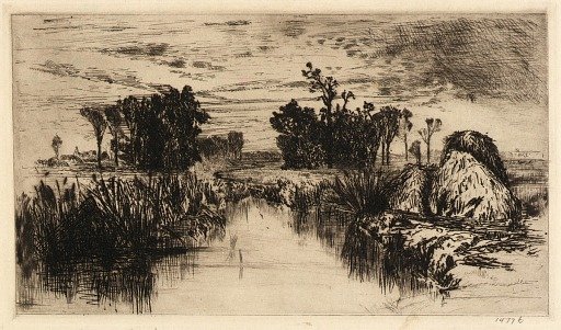 Cattails and Trees