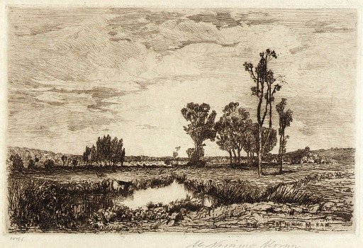 Cattle in a Pond