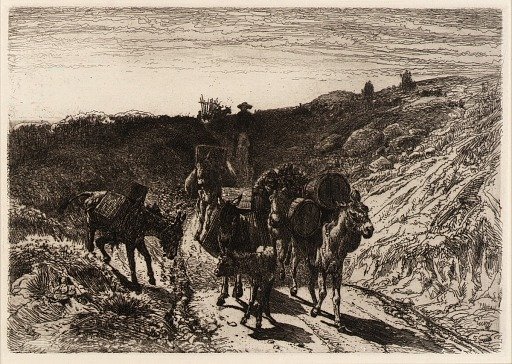 A Burro Train, New Mexico