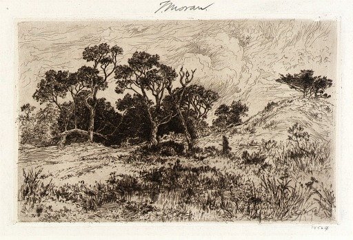 A Southerly Wind