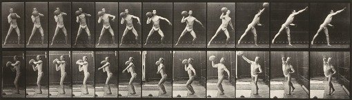 Animal Locomotion (plate 319) (Man Throwing a Ball)