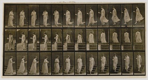 Woman Descending a Stairway and Turning Around, from the book, Animal Locomotion