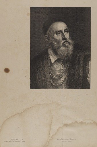 Portrait of a Man