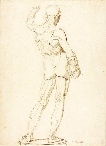 (An Ecorche, Rear View)