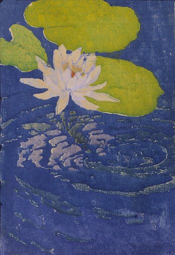 Water Lily