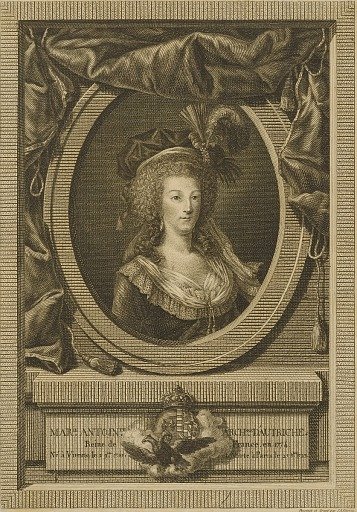 Marie Antoinette, Duchesse D'Autriche