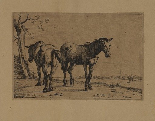 Two Horses