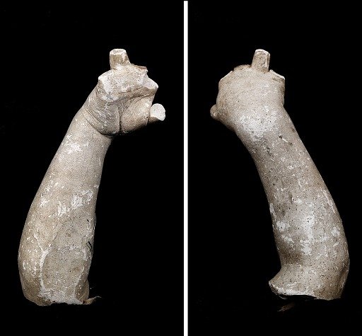 Cast of an Unidentified Baby's Right Hand and Forearm (all fingers missing)